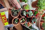 Sale Photo Thumbnail #3