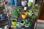 Sale Photo Thumbnail #25