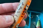 Sale Photo Thumbnail #36