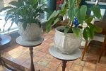 Sale Photo Thumbnail #58