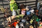 Sale Photo Thumbnail #13
