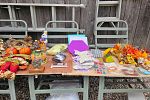 Sale Photo Thumbnail #12