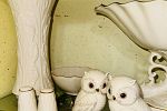 Sale Photo Thumbnail #42
