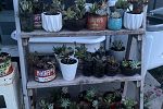 Sale Photo Thumbnail #37