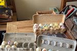 Sale Photo Thumbnail #32