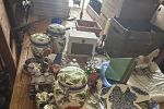 Sale Photo Thumbnail #40