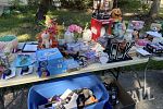 Sale Photo Thumbnail #18