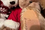 Sale Photo Thumbnail #32
