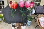 Sale Photo Thumbnail #27