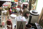 Sale Photo Thumbnail #12