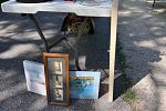 Sale Photo Thumbnail #7
