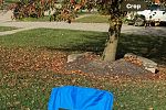 Sale Photo Thumbnail #35
