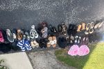 Sale Photo Thumbnail #4