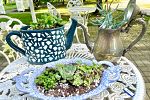 Sale Photo Thumbnail #31