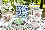 Sale Photo Thumbnail #32