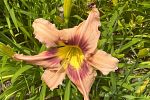 Sale Photo Thumbnail #23
