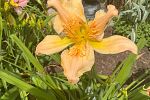 Sale Photo Thumbnail #44