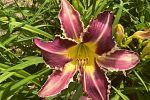 Sale Photo Thumbnail #27