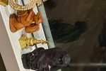 Sale Photo Thumbnail #69