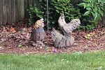 Sale Photo Thumbnail #18