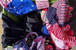 Sale Photo Thumbnail #9