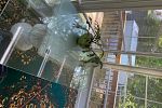 Sale Photo Thumbnail #24