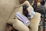 Sale Photo Thumbnail #14