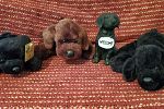 Sale Photo Thumbnail #14