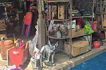 Sale Photo Thumbnail #29