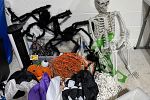 Sale Photo Thumbnail #22