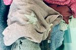 Sale Photo Thumbnail #15