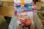 Sale Photo Thumbnail #19