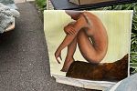 Sale Photo Thumbnail #21