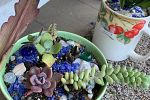Sale Photo Thumbnail #9