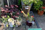 Sale Photo Thumbnail #4