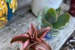 Sale Photo Thumbnail #15