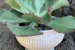 Sale Photo Thumbnail #18