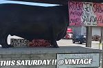 Sale Photo Thumbnail #3