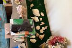 Sale Photo Thumbnail #77