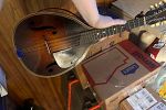 Sale Photo Thumbnail #9