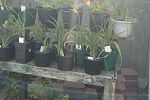 Sale Photo Thumbnail #43