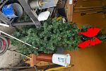 Sale Photo Thumbnail #32