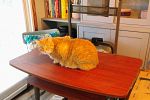 Sale Photo Thumbnail #44