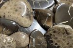 Sale Photo Thumbnail #35