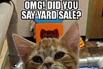 Sale Photo Thumbnail #1