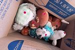 Sale Photo Thumbnail #13