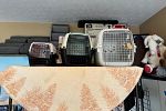Sale Photo Thumbnail #20