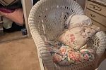 Sale Photo Thumbnail #11