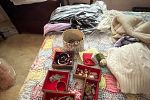 Sale Photo Thumbnail #16