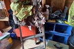 Sale Photo Thumbnail #13